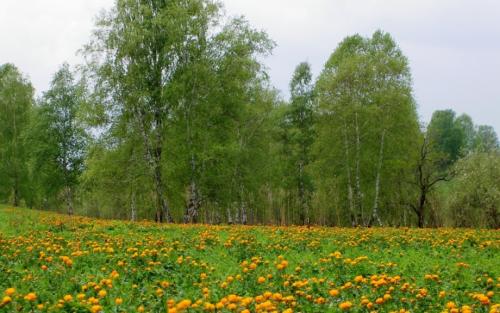 Интересные факты о тканях. 09