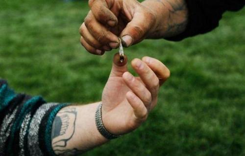 Интересные факты про курение. 15 интересных фактов о табаке и курении 11