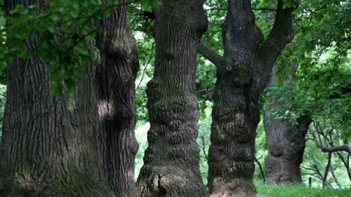 Факты о Москве в цифрах. Любопытные факты о Москве, которые не знали даже сами москвичи (14 фактов)