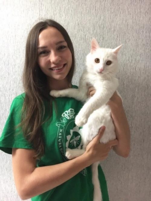 Лечебные свойства кошек для человека. Целебное мурчание. Как волгоградка доказала лечебные свойства кошек