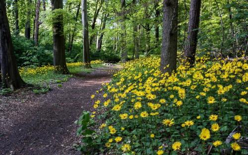 Интересные факты о тканях. 01