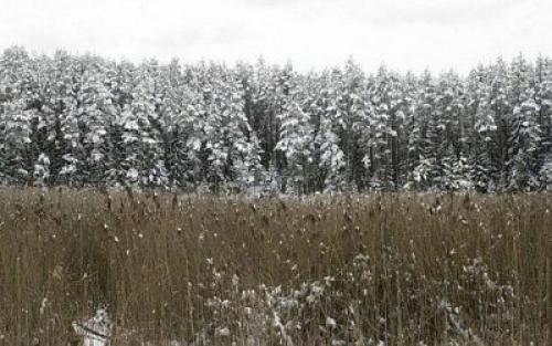 Факты о литве. 17 интересных фактов о Литве. 07 Факты о литве. 17 интересных фактов о Литве. 07