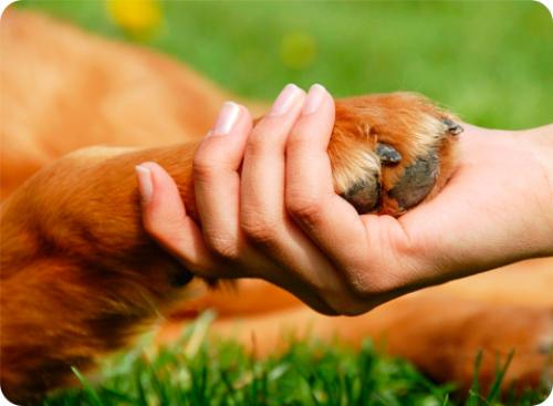 Интересные факты для детей 10 лет. Интересные факты для детей (7 фото) 10