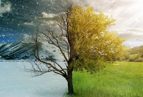 Статусы про природу и человека. Цитаты о природе и человеке