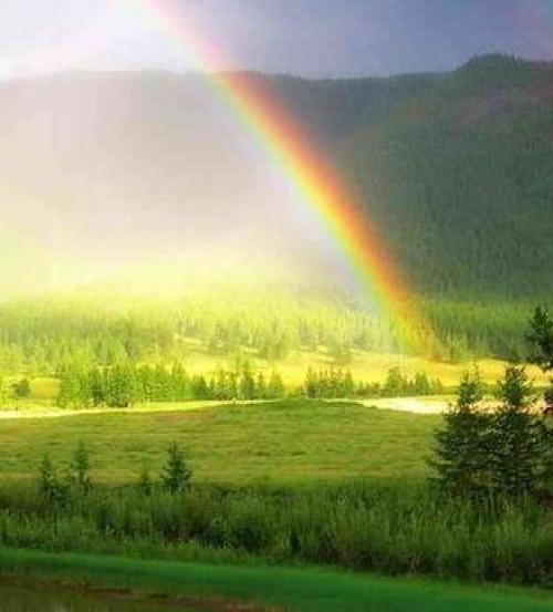 Мысли о природе. Цитаты русских писателей о природе