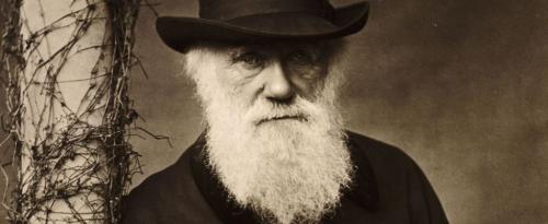 Истории из жизни знаменитых людей. Интересные истории из жизни известных людей.