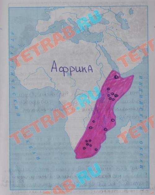 Когда жили древние люди. Теория Дарвина 03