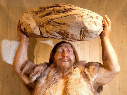 Когда жили древние люди. Теория Дарвина 10