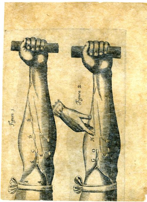 Кожа обновляется каждые 28 дней. Что нужно знать о коже человека