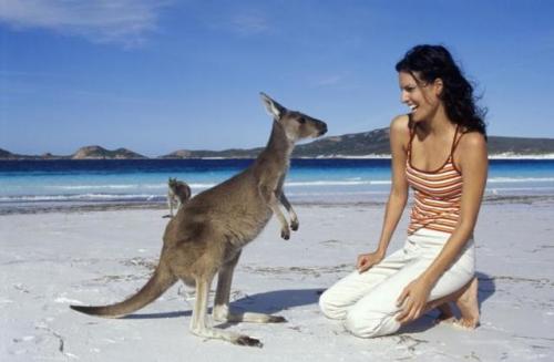 Самый маленький материк. Какой самый маленький материк на планете 15