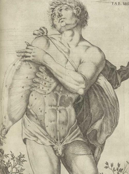 Кожа обновляется каждые 28 дней. Что нужно знать о коже человека