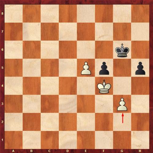 Цугцванг это. Что такое цугцванг в шахматах?