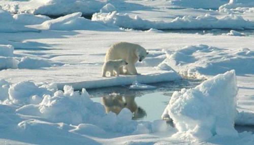 Самый маленький материк. Какой самый маленький материк на планете 13