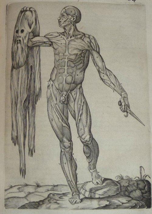 Кожа обновляется каждые 28 дней. Что нужно знать о коже человека