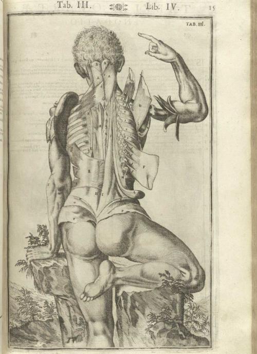 Кожа обновляется каждые 28 дней. Что нужно знать о коже человека