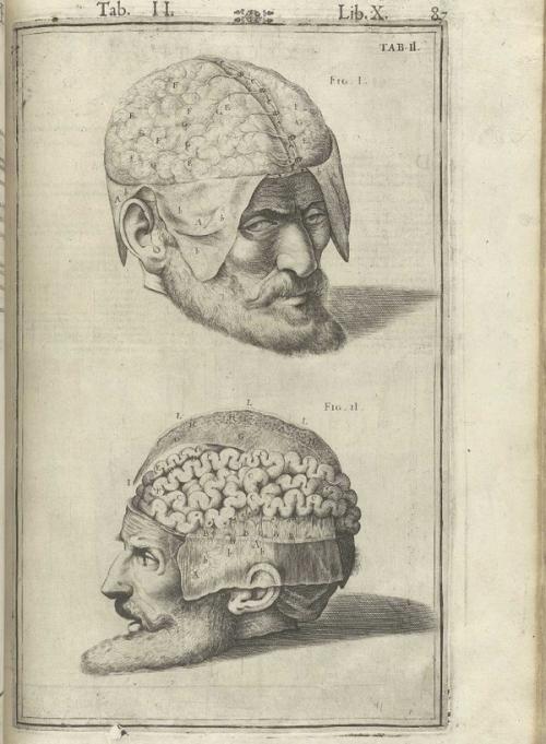 Кожа обновляется каждые 28 дней. Что нужно знать о коже человека