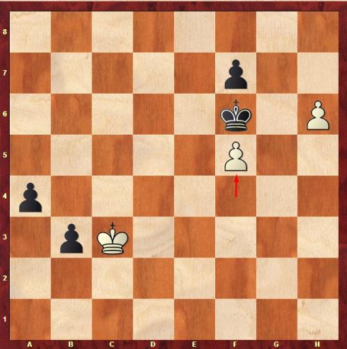 Цугцванг примеры. Что такое цугцванг в шахматах?