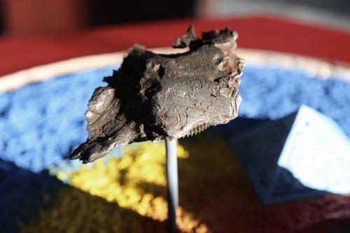 Тунгусский метеорит интересные факты документальные. Тунгусский метеорит интересные факты накапливаются с годами. Тунгусский метеорит. История катастрофы 04