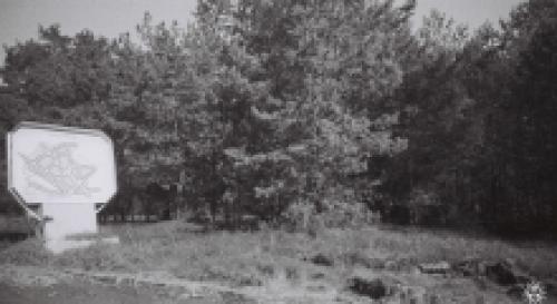 Припять. Фотогалереи Припять.ком