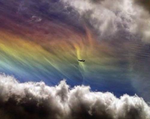 Это интересно знать детям. Интересные факты для детей (7 фото) 03