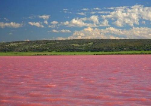 Это интересно знать детям. Интересные факты для детей (7 фото) 02