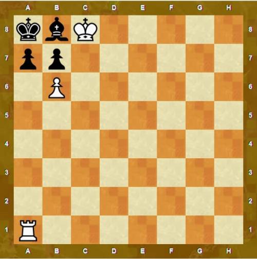 Цугцванг происхождение слова. Цугцванг в шахматах –, что это? Примеры, картинки