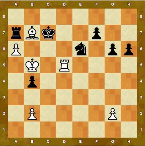 Цугцванг происхождение слова. Цугцванг в шахматах –, что это? Примеры, картинки