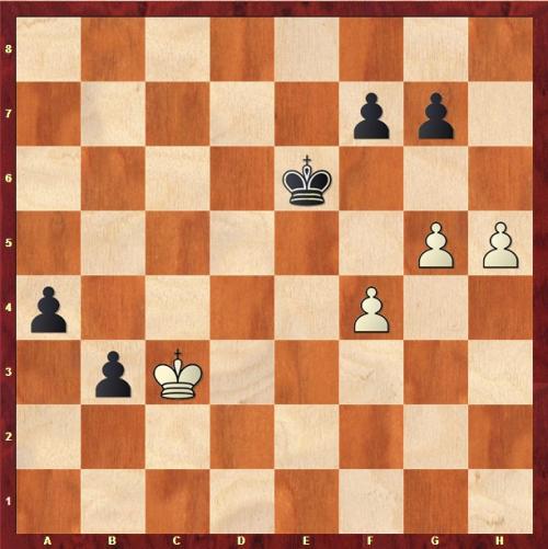 Цугцванг, что это такое. Что такое цугцванг в шахматах?