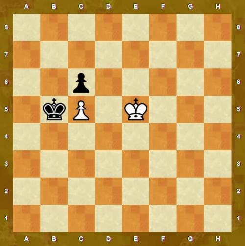 Цугцванг происхождение слова. Цугцванг в шахматах –, что это? Примеры, картинки