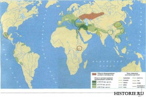Древний человек когда жил. Классификация 03