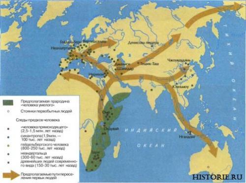 Древний человек когда жил. Классификация 02