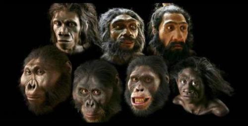 Древний человек когда жил. Классификация 06