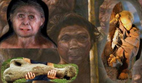 Древний человек когда жил. Классификация 07