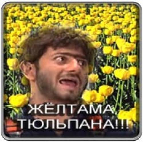 Финансовая пирамида в России. История финансовых пирамид