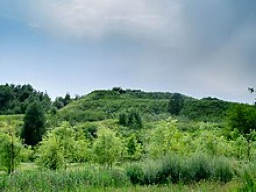 Когда и кем была основана москва? Основание Москвы 03