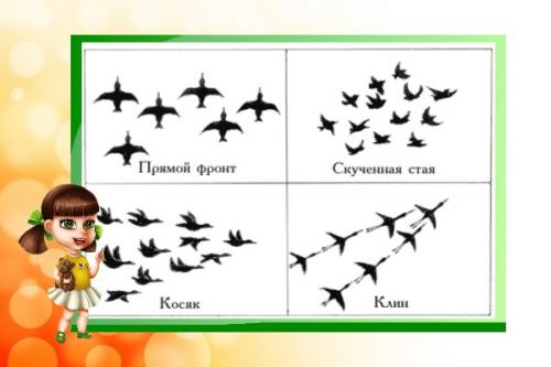 Рассказ о перелетной птице. Что рассказать детям о перелетных птицах