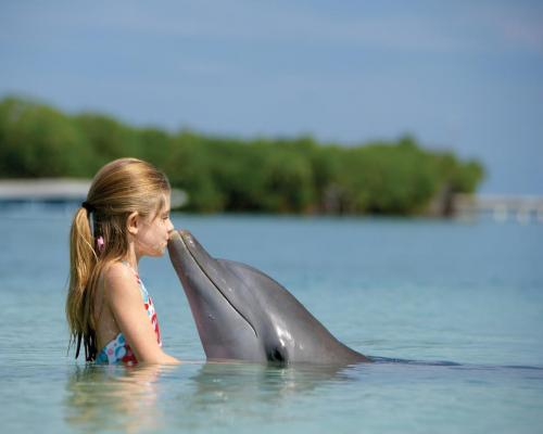 Кто такой древний человек. Основные стадии эволюции человека 04