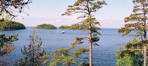 Факты ладожское озеро. Ладожское озеро: интересные факты 01