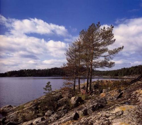 Ладога интересные факты. Удивительное Ладожское озеро