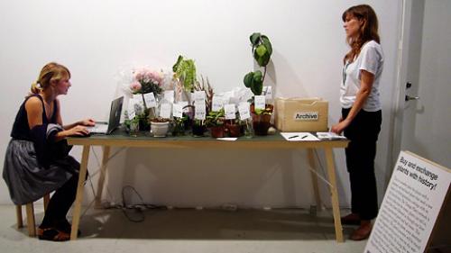 Кактус интересные факты для детей. 10 интересных фактов о, кактусах 03