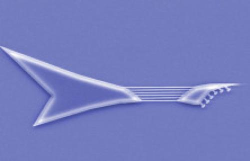 Самое интересное о гитаре. Интересные факты о гитаре!