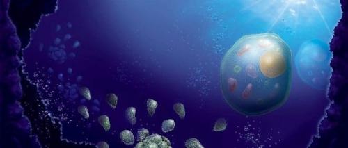 Эволюционное учение дарвина кратко. Синтетическая теория эволюции кратко и понятно. Прав ли Дарвин?