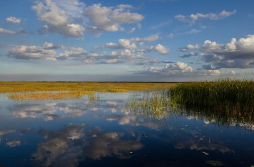 Северная Америка для детей. Северная Америка — интересные факты