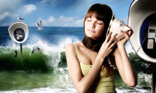 7 интересных фактов о моллюсках. Интересные факты о моллюсках + Видео