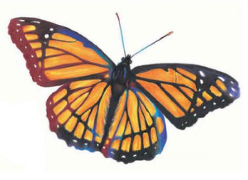 Глагол интересные факты. Глагол - удивительная часть речи 02