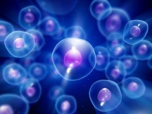 Эволюционное учение дарвина кратко. Синтетическая теория эволюции кратко и понятно. Прав ли Дарвин?