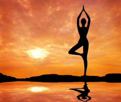 Интересные факты художественная гимнастика. Любопытные факты о спортивной гимнастике 12