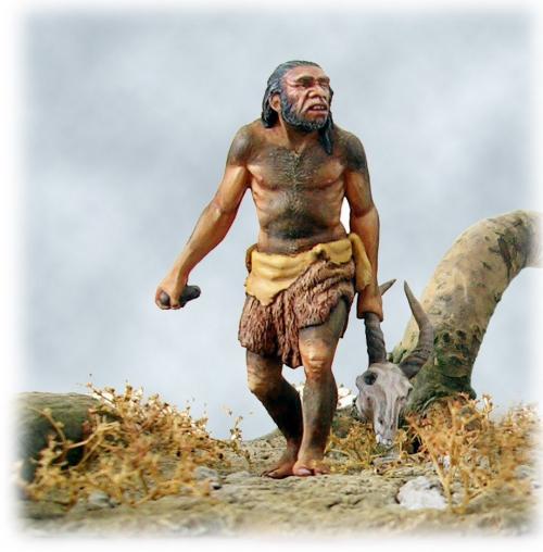Расскажите об эволюционном развитии древних людей. Этапы эволюции человека 05