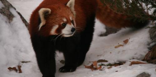 Евразия интересные факты. 6 самых интересных фактов о Евразии 14