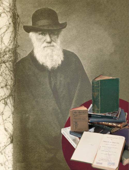 Расскажите об эволюционном развитии древних людей. Этапы эволюции человека 06